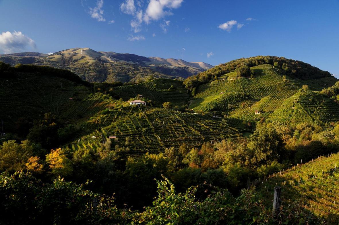 I Giardini Segreti Di Villa Marcello Marinelli Cison di Valmarino Kültér fotó